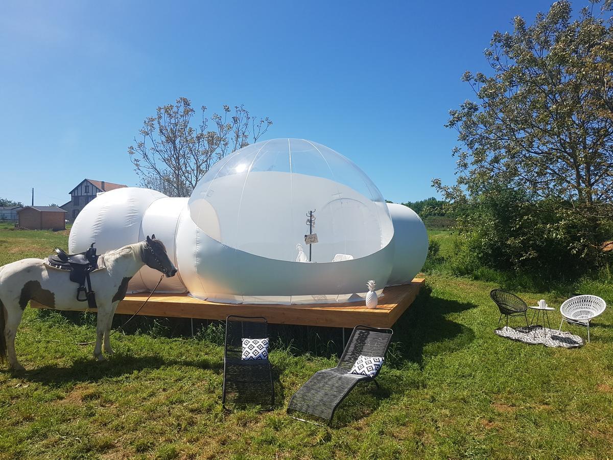 Coachella Guest House Lanouaille Ngoại thất bức ảnh